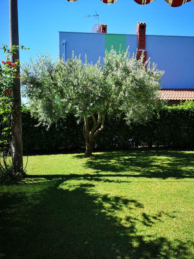 Apartman Olga Umag Exteriör bild